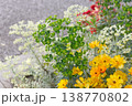 オレンジと黄色の花 138770802