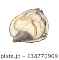 ホッキ貝　水彩色鉛筆イラスト 138770969