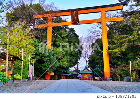 川越氷川神社の大鳥居 川越氷川神社の大鳥居 138771203