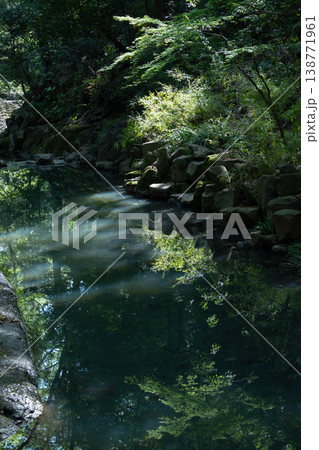 新緑の映える等々力渓谷の風景 新緑の映える等々力渓谷の風景 138771961