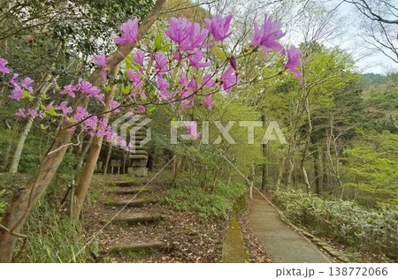 瑞宝寺公園の朝 瑞宝寺公園の朝 138772066
