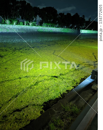夜の濠を覆う緑の絨毯 夜の濠を覆う緑の絨毯 138772605