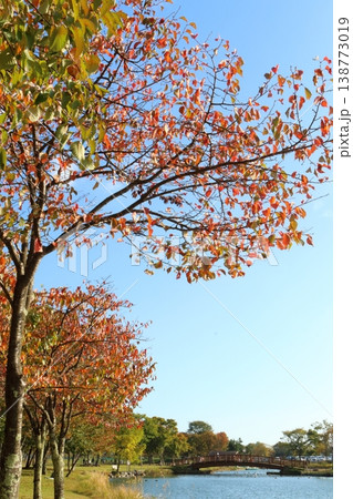 水辺の紅葉した木々と木の橋 138773019
