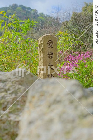 春の有馬温泉界隈 春の有馬温泉界隈 138773047