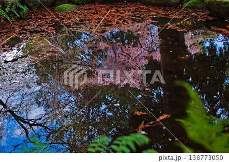 春の有馬温泉界隈 138773050