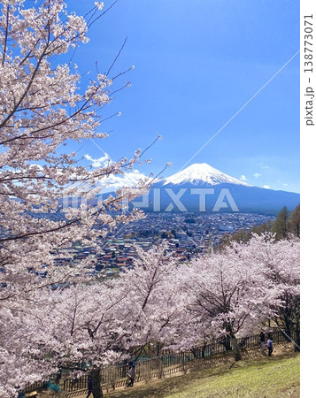 富士山と桜 ② 富士山と桜 ② 138773071