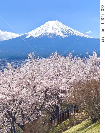 富士山と桜 ③ 富士山と桜 ③ 138773072