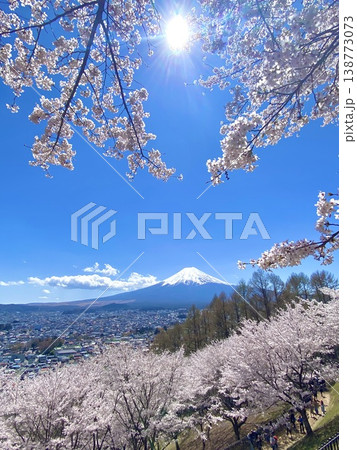 富士山と桜 ④ 富士山と桜 ④ 138773073