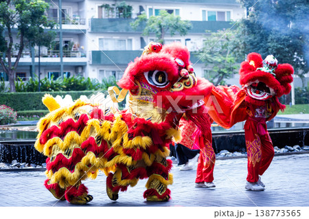 Traditional lion dance. One yellow lion and one red lion Celebration in Chinese New Year this very famous for tourist. Traditional lion dance. One yellow lion and one red lion Celebration in Chinese New Year this very famous for tourist. 138773565