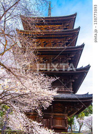 京都、東寺の五重塔 138773893