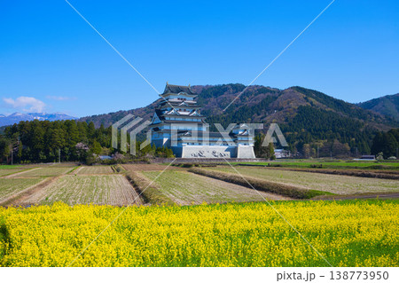 菜の花と勝山城博物館 138773950