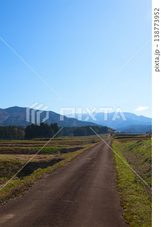 菜の花と勝山城博物館 138773952