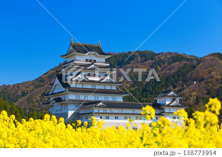菜の花と勝山城博物館 138773954