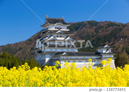菜の花と勝山城博物館 菜の花と勝山城博物館 138773955