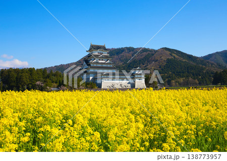 菜の花と勝山城博物館 菜の花と勝山城博物館 138773957