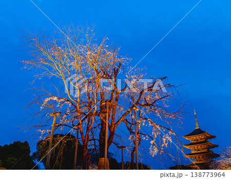 京都、東寺の五重塔 138773964