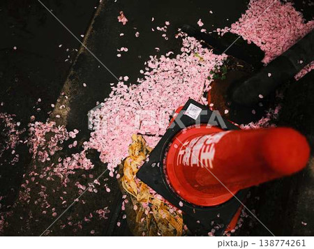 春の訪れを告げる河津桜 春の訪れを告げる河津桜 138774261