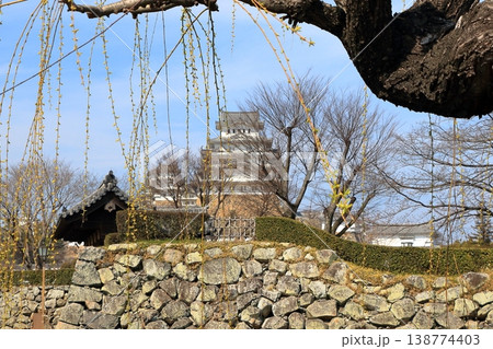 The view of Himeji Castle as seen from Himeji City The view of Himeji Castle as seen from Himeji City 138774403