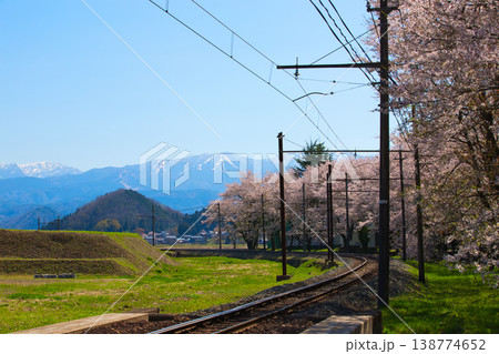 満開のさくらとえちぜん鉄道 満開のさくらとえちぜん鉄道 138774652