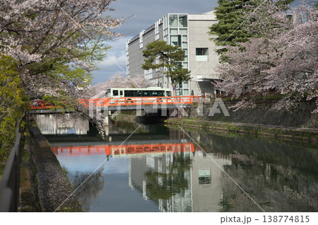 京の春　疏水と満開の桜と慶流橋を渡る市バス3 138774815