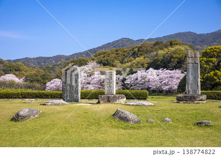 福岡県太宰府市にある太宰府政庁跡と満開の桜 138774822