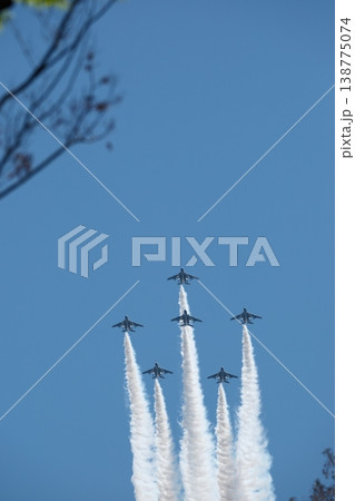 青空をバックにブルーインパルスの飛翔 138775074