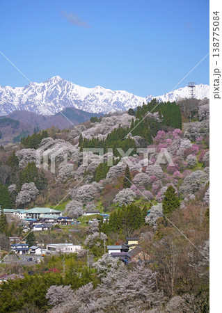 二反田の桜(長野県小川村) 二反田の桜(長野県小川村) 138775084