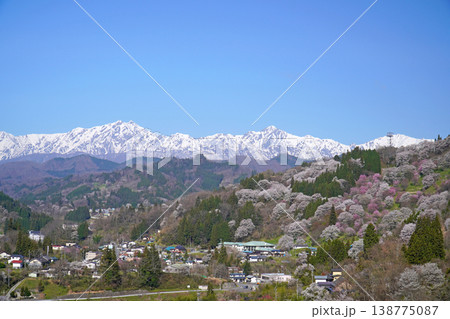 二反田の桜(長野県小川村) 二反田の桜(長野県小川村) 138775087