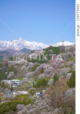 二反田の桜(長野県小川村) 二反田の桜(長野県小川村) 138775092
