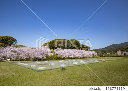 福岡県太宰府市にある太宰府政庁跡と満開の桜 福岡県太宰府市にある太宰府政庁跡と満開の桜 138775119