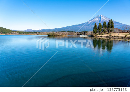 静岡県富士宮市　田貫湖キャンプ場の富士山の眺め 138775158