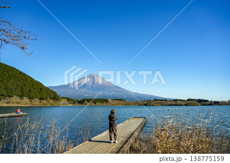 静岡県富士宮市 富士山の眺めが良い田貫湖で写真を撮る女性 静岡県富士宮市 富士山の眺めが良い田貫湖で写真を撮る女性 138775159