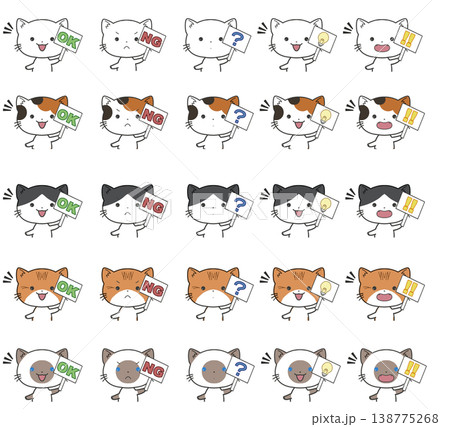 OK、NG、はてな、ひらめき、びっくりの札を持つ猫のバストアップのセット 138775268