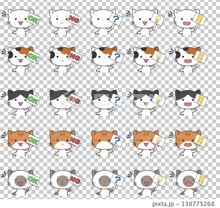 OK、NG、はてな、ひらめき、びっくりの札を持つ猫のバストアップのセット 138775268