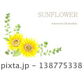 水彩で描いたひまわりのコーナー装飾 138775338