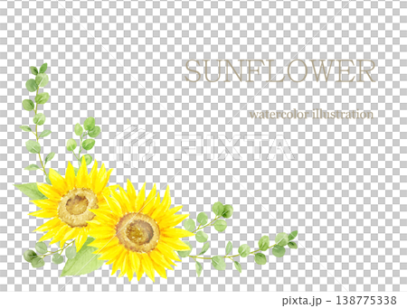 水彩で描いたひまわりのコーナー装飾 水彩で描いたひまわりのコーナー装飾 138775338