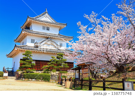 【香川県】桜咲く春の丸亀城（現存天守と石垣の名城） 138775748