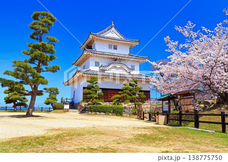 【香川県】桜咲く春の丸亀城（現存天守と石垣の名城） 138775750