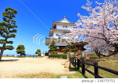 【香川県】桜咲く春の丸亀城（現存天守と石垣の名城） 138775751