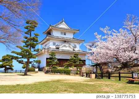 【香川県】桜咲く春の丸亀城（現存天守と石垣の名城） 138775753