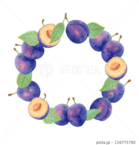 Round frame of a plum fruit and half with pit, leaves. Watercolor botanical illustration. Harvest and production. Hand drawn isolated art. Berry for packaging, card, menu, invitations and logo 138775780