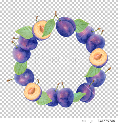 Round frame of a plum fruit and half with pit, leaves. Watercolor botanical illustration. Harvest and production. Hand drawn isolated art. Berry for packaging, card, menu, invitations and logo 138775780