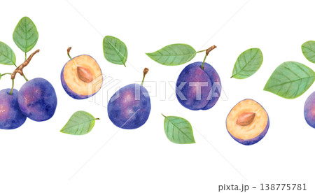 Seamless border of a plum fruit and half with pit. Watercolor botanical illustration. Harvest, production. Hand drawn isolated art. Banner for food packaging, juices, cards, menu, textiles, prints. 138775781