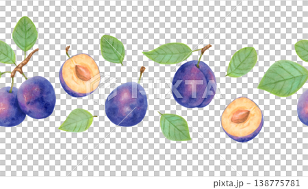 Seamless border of a plum fruit and half with pit. Watercolor botanical illustration. Harvest, production. Hand drawn isolated art. Banner for food packaging, juices, cards, menu, textiles, prints. 138775781