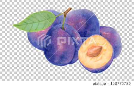 Composition of a whole plum, a half, and a leaf. Purple berry. Watercolor botanical illustration. Harvest, production. Hand drawn isolated art. For kitchen towels or packaging for food and juices. 138775789