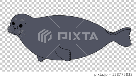 Baikal seal (side view) Baikal seal (side view) 138775832