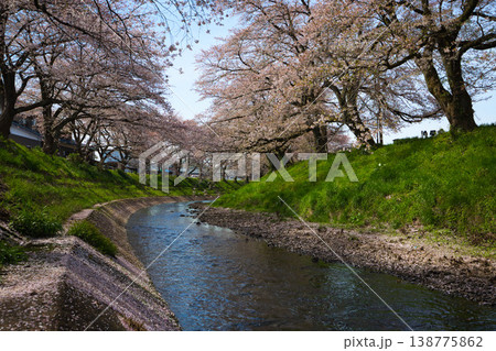 桜のある風景ー吉野瀬川 桜のある風景ー吉野瀬川 138775862
