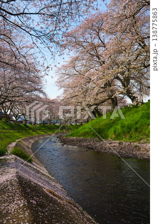 桜のある風景ー吉野瀬川 138775863