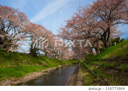 桜のある風景ー吉野瀬川 桜のある風景ー吉野瀬川 138775864