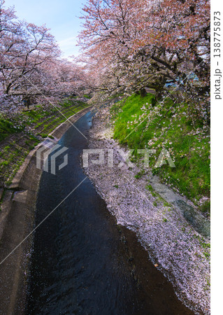 桜のある風景ー吉野瀬川 桜のある風景ー吉野瀬川 138775873